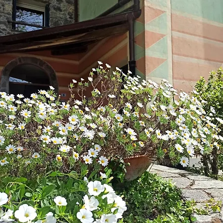Il Bosco Di Campo Marzano Nature Retreats Appartement Borzonasca