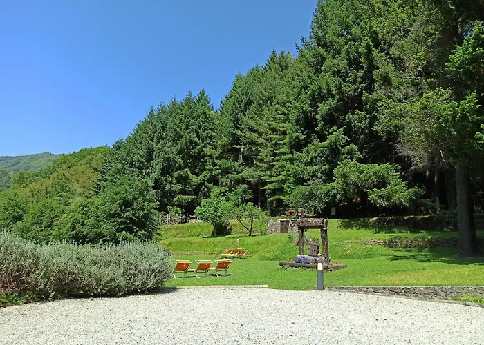 Il Bosco Di Campo Marzano Nature Retreats Borzonasca