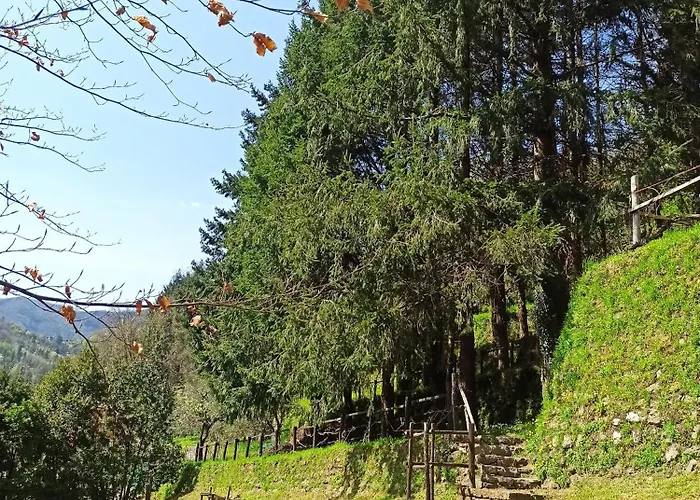 Il Bosco Di Campo Marzano Nature Retreats *