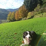 Il Bosco Di Campo Marzano Nature Retreats *