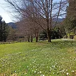 Apartment Il Bosco Di Campo Marzano Nature Retreats