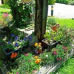 Il Bosco Di Campo Marzano Nature Retreats Apartment *