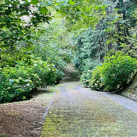 Il Bosco Di Campo Marzano Nature Retreats *