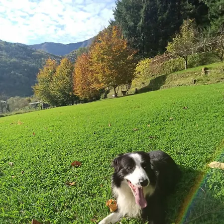 Il Bosco Di Campo Marzano Nature Retreats *