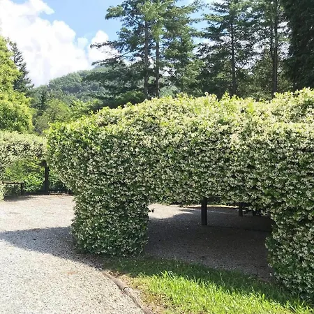 Il Bosco Di Campo Marzano Nature Retreats Borzonasca