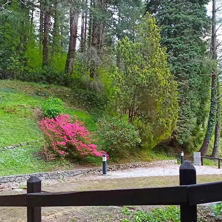 Il Bosco Di Campo Marzano Nature Retreats * Borzonasca