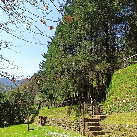Il Bosco Di Campo Marzano Nature Retreats *