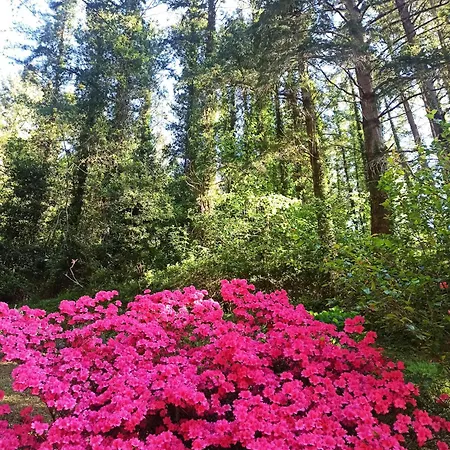 Il Bosco Di Campo Marzano Nature Retreats