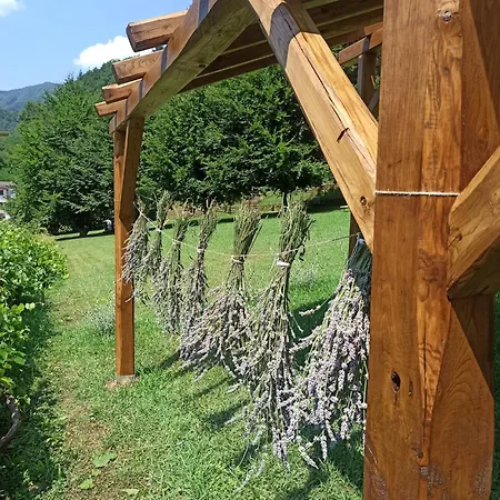 Il Bosco Di Campo Marzano Nature Retreats * 보르조나사