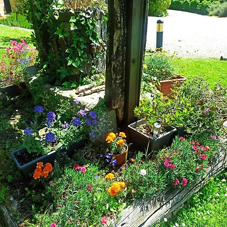 Il Bosco Di Campo Marzano Nature Retreats 아파트 *