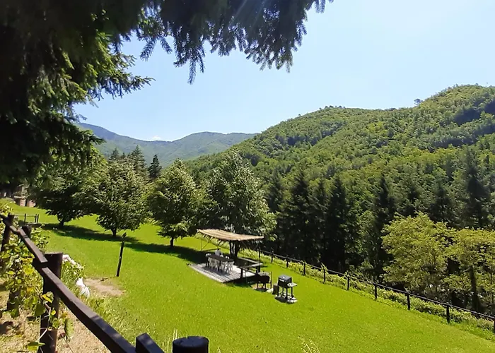 Il Bosco Di Campo Marzano Nature Retreats