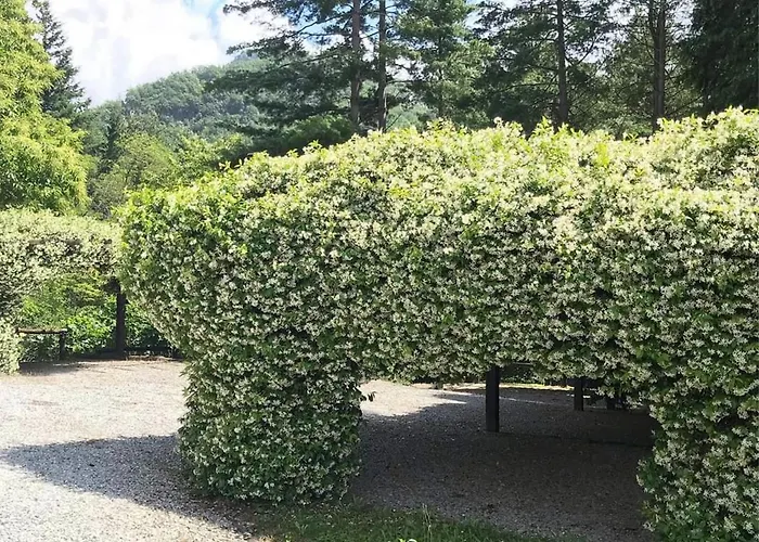 Il Bosco Di Campo Marzano Nature Retreats Borzonasca