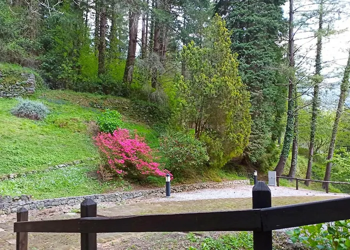 Il Bosco Di Campo Marzano Nature Retreats * Borzonasca