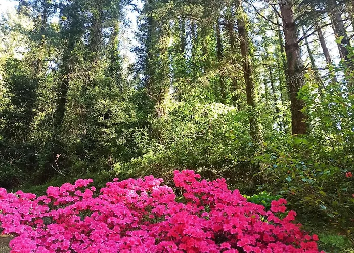 Il Bosco Di Campo Marzano Nature Retreats