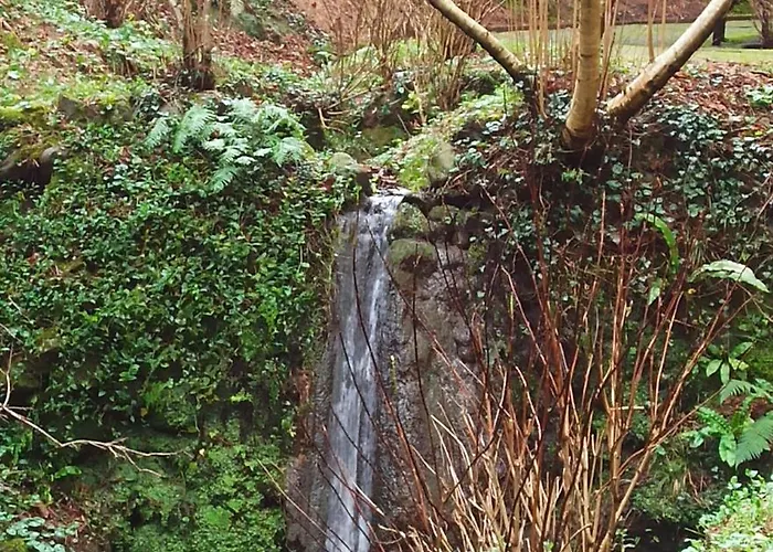 公寓 Il Bosco Di Campo Marzano Nature Retreats Borzonasca