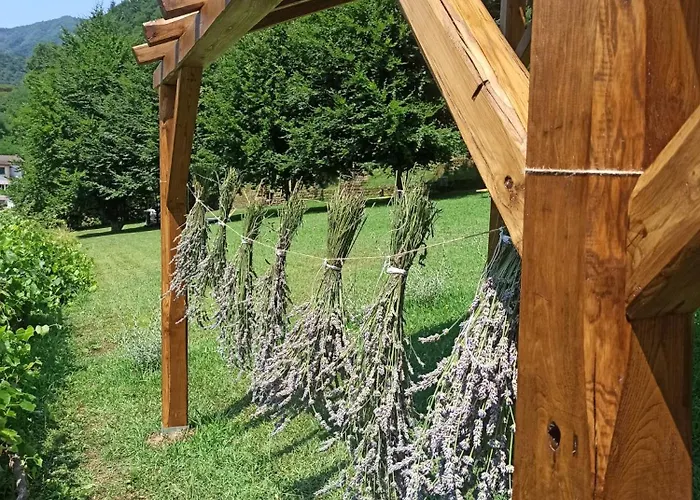 Il Bosco Di Campo Marzano Nature Retreats * Borzonasca