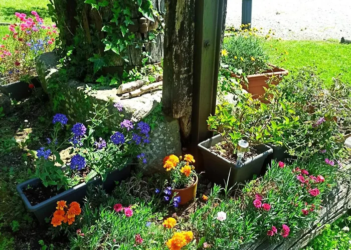 Il Bosco Di Campo Marzano Nature Retreats Lejlighed *